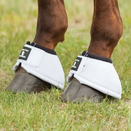 Classic Equine Dy-No Turn Bell Boot